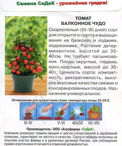 Томат балконное чудо характеристика и описание сорта фото