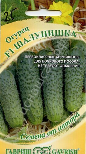Огурец Шалунишка (Гавриш)