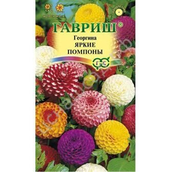 Георгина Яркие помпоны 0,2гр ГШ