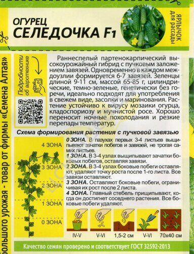 Огурец Селедочка 5 шт Сем Алт