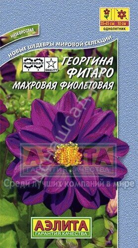 Георгина Фигаро фиолетовый 7шт Аэлита